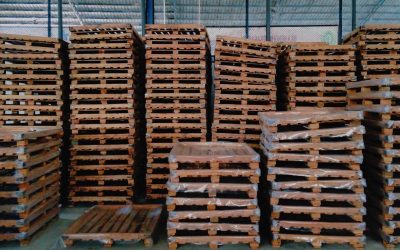 How Shipping Cases Can Reduce Damage and Cost for Leeds Retailers?