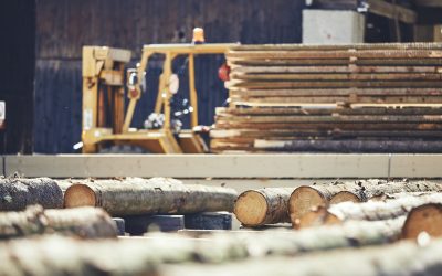 What is the Necessity of Heat Treating Wooden Pallets?