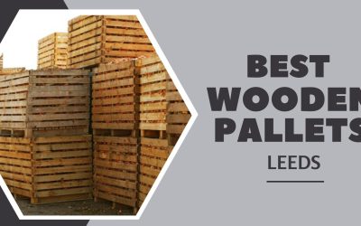Are Wooden Pallets Really an Eco-friendly Choice for Businesses?